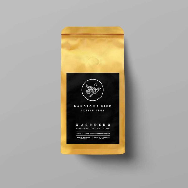 Guerrero | Esencia de Vida | La Pintada