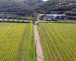 Chiapas | Las Chichihuas